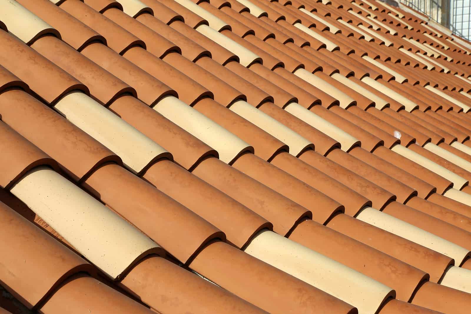 Row of residential homes and palm tress in Naples, Florida